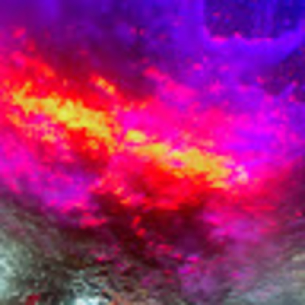 Meet your Posher, Hailey